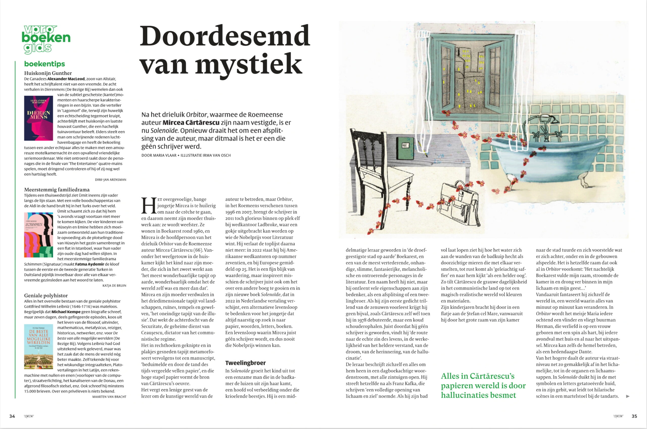 illustration vprogids - Solenoid - Mircea Cartarescu - Steeped in mysticism - illustration Irma van Osch - books and poetry illustratie vprogids - Solenoïde - Mircea Cartarescu - Doordesemd van mystiek - illustratie Irma van Osch - boeken en poezie